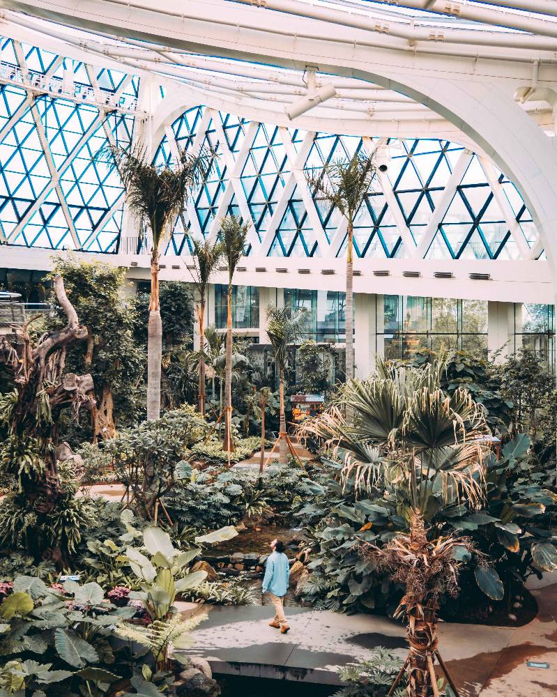 Ecological vision by the founder